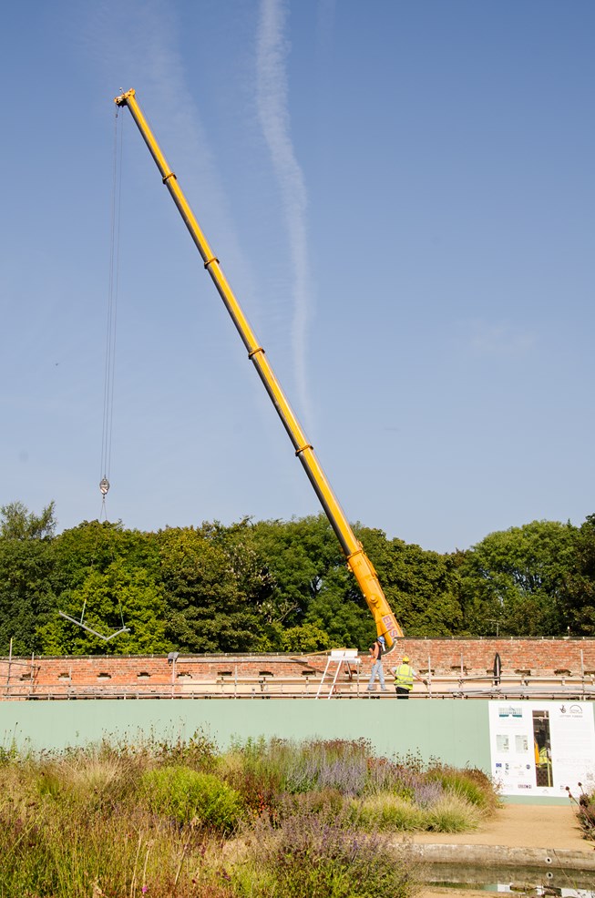 Crane viewed from the walled garden